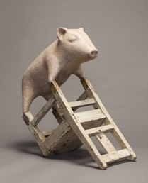 動物先生